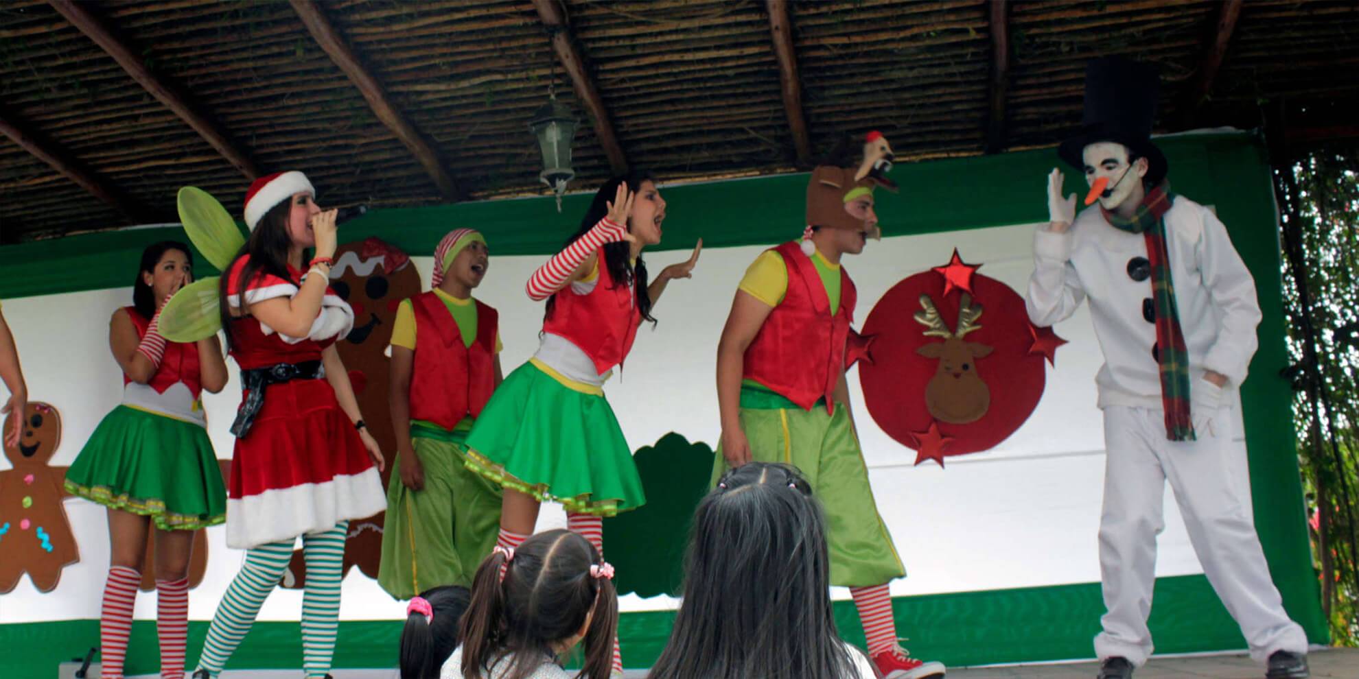 Show de navidad